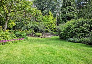 Optimiser l'expérience du jardin à Coinches